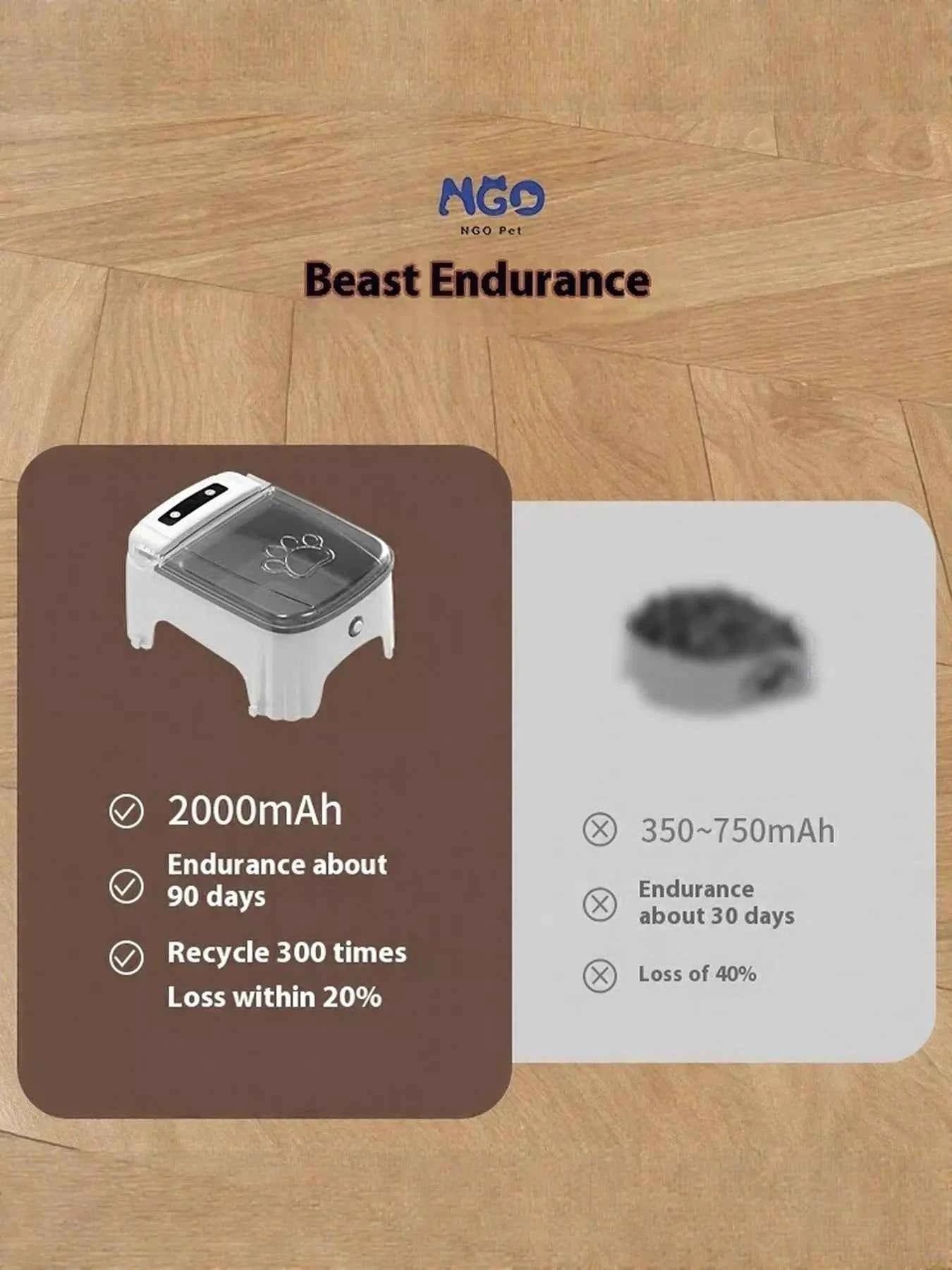 Automatic Pet Feeder with Elevated Bowl