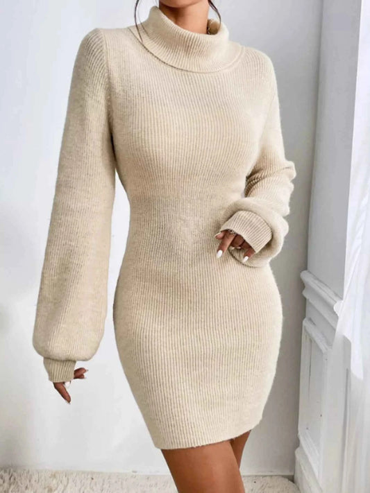 Turtleneck Ribbed Knit Sweater Dress