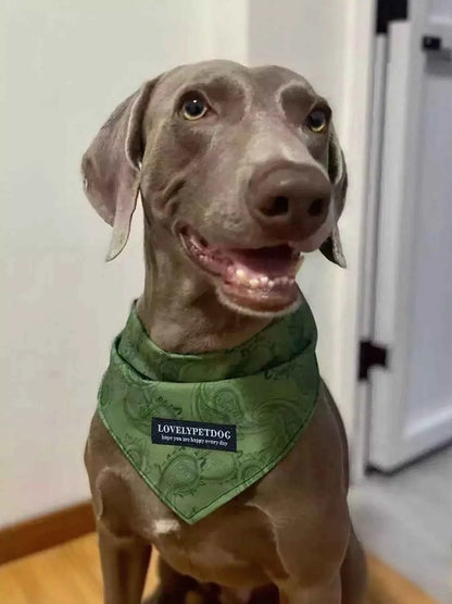 Lightweight Pet Scarf