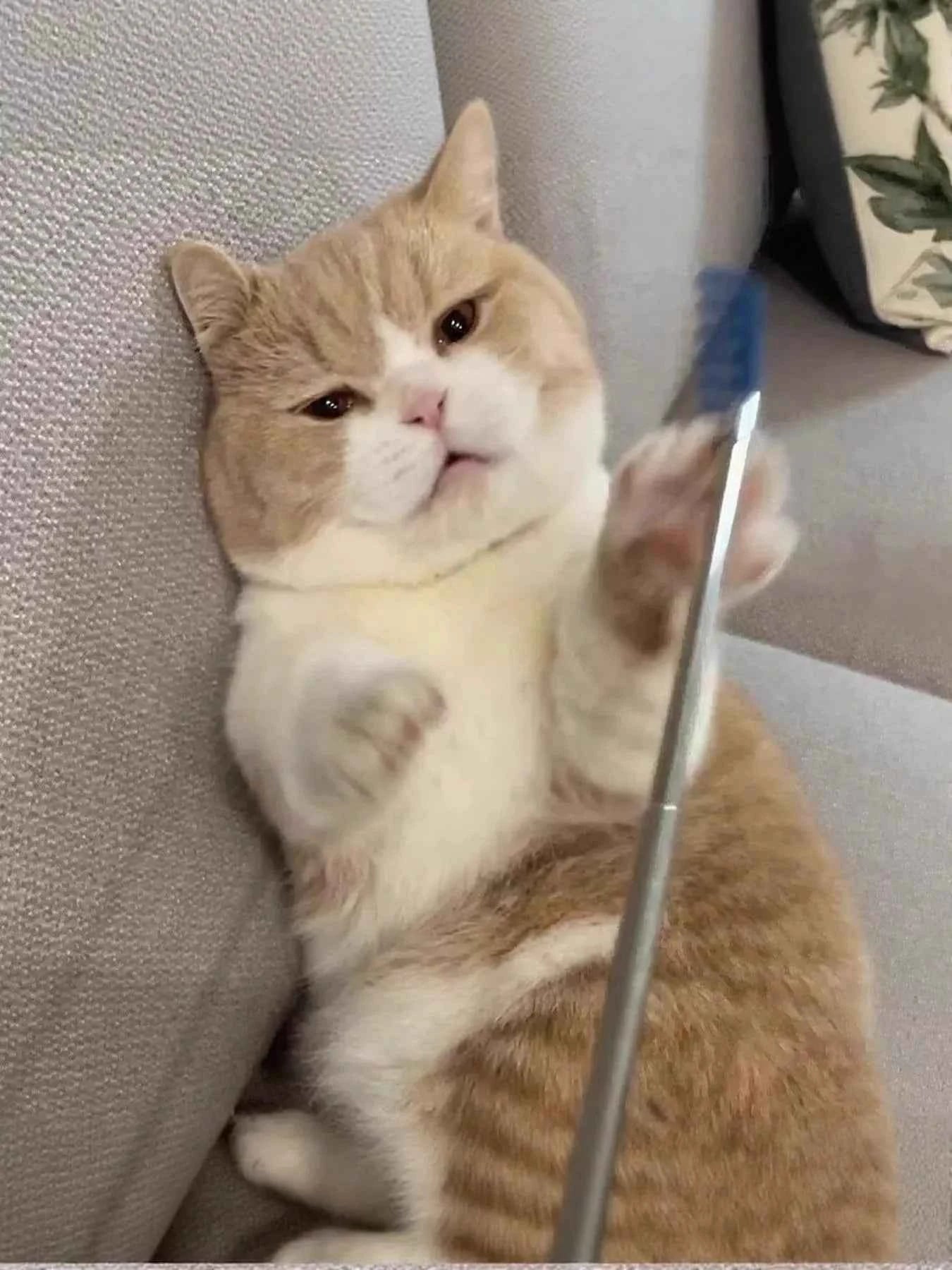 Pet Grooming Comb