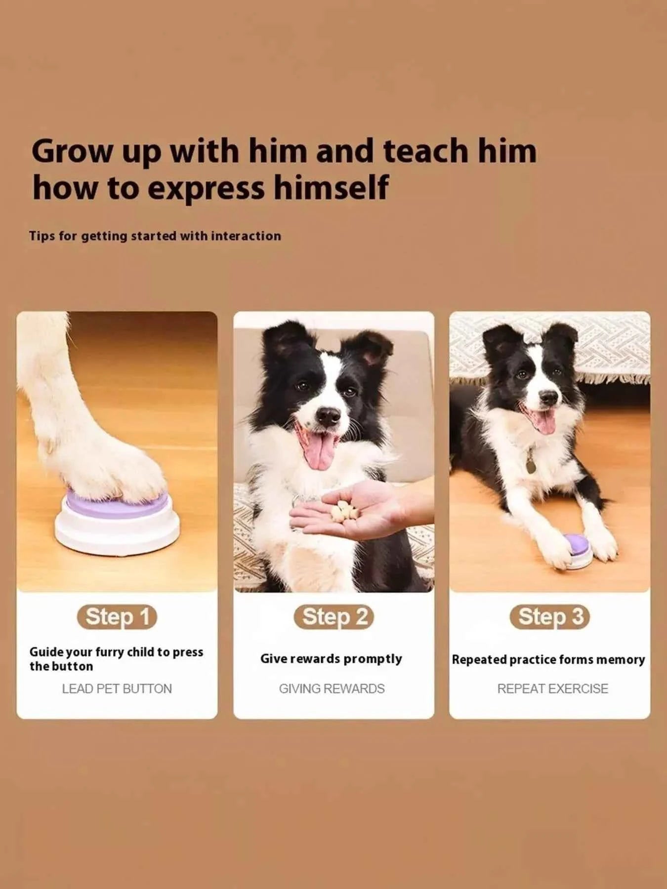 Recordable Talking Pet Sound Buttons