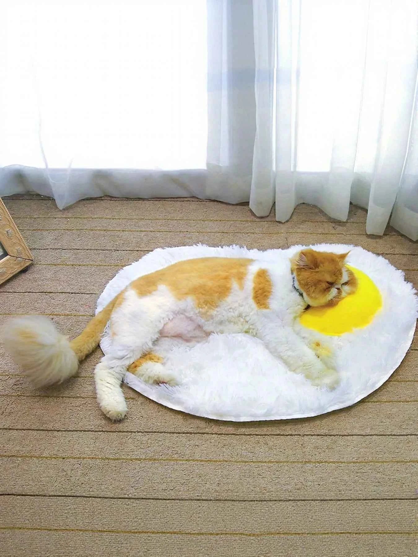 Fried Egg Design Plush Pet Mat