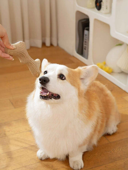 Durable Antler-Shaped Dog Chew Toy