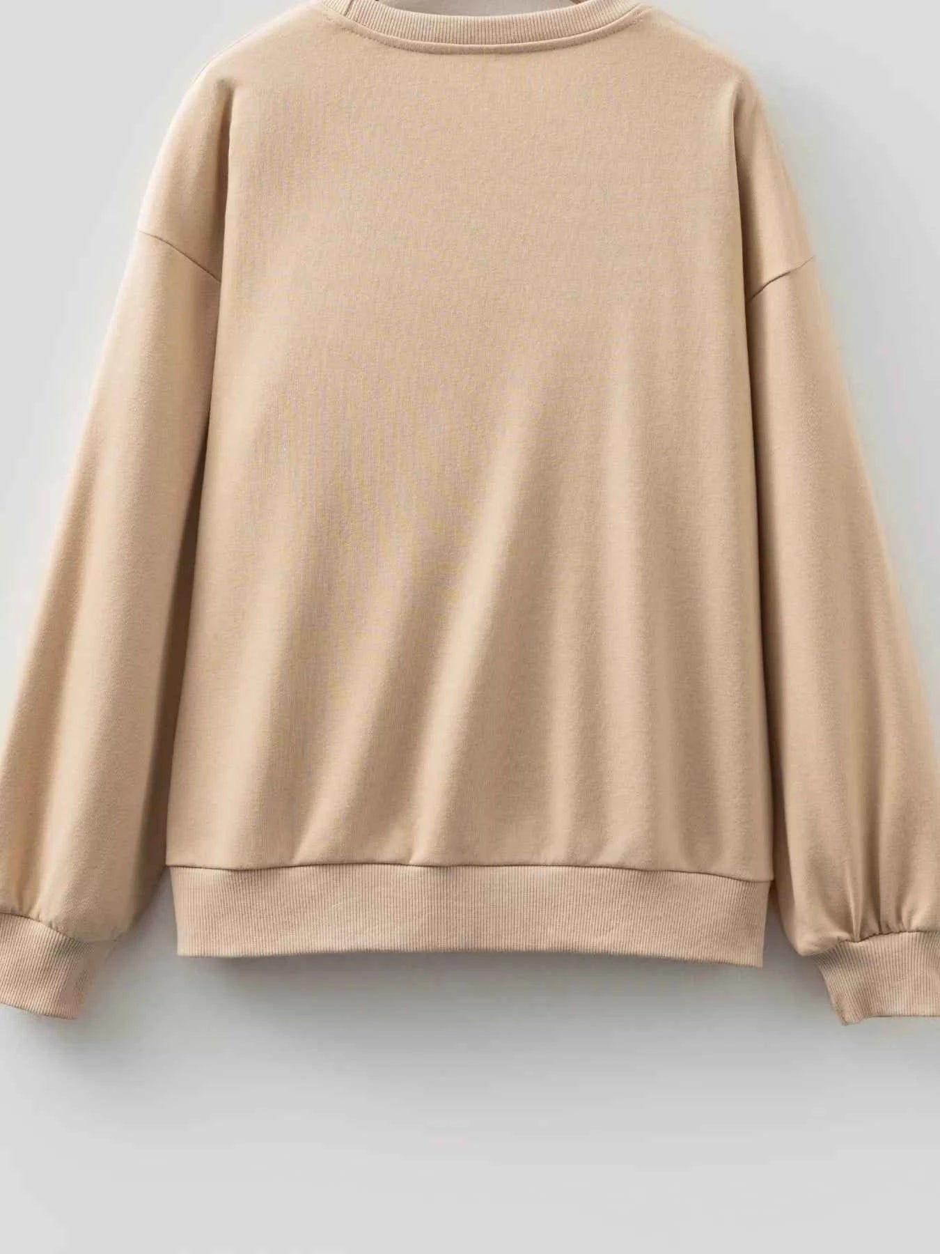 Embroidered Flower Pattern Drop Shoulder Sweatshirt