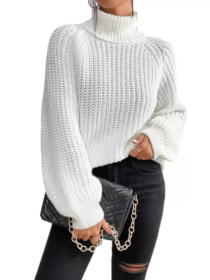 Chunky Knit Turtleneck Long Sleeve Sweater