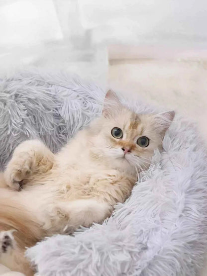 Round Plush Calming Pet Nest