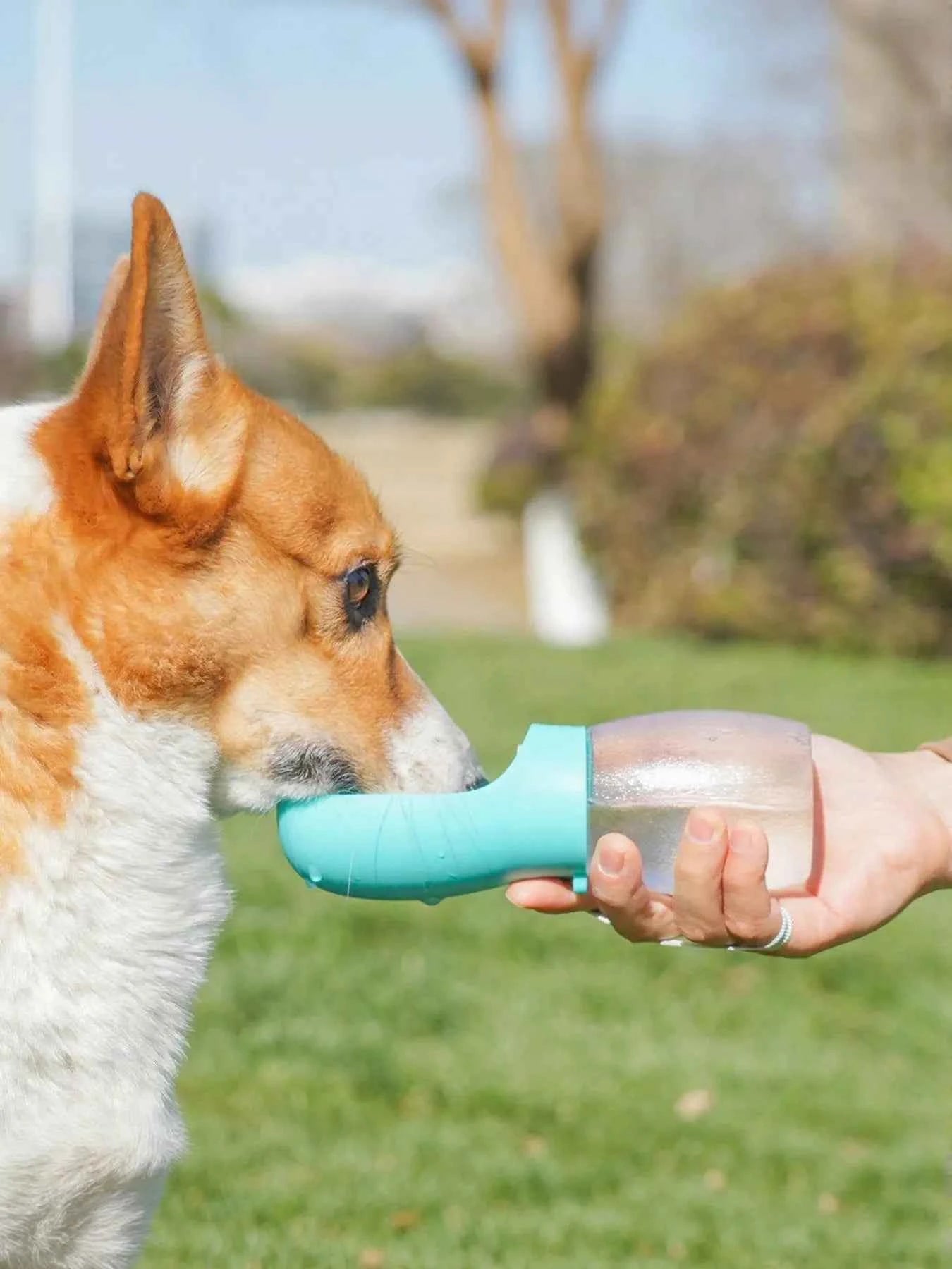 Portable Leak-Proof Pet Water Bottle with Drinking Bowl