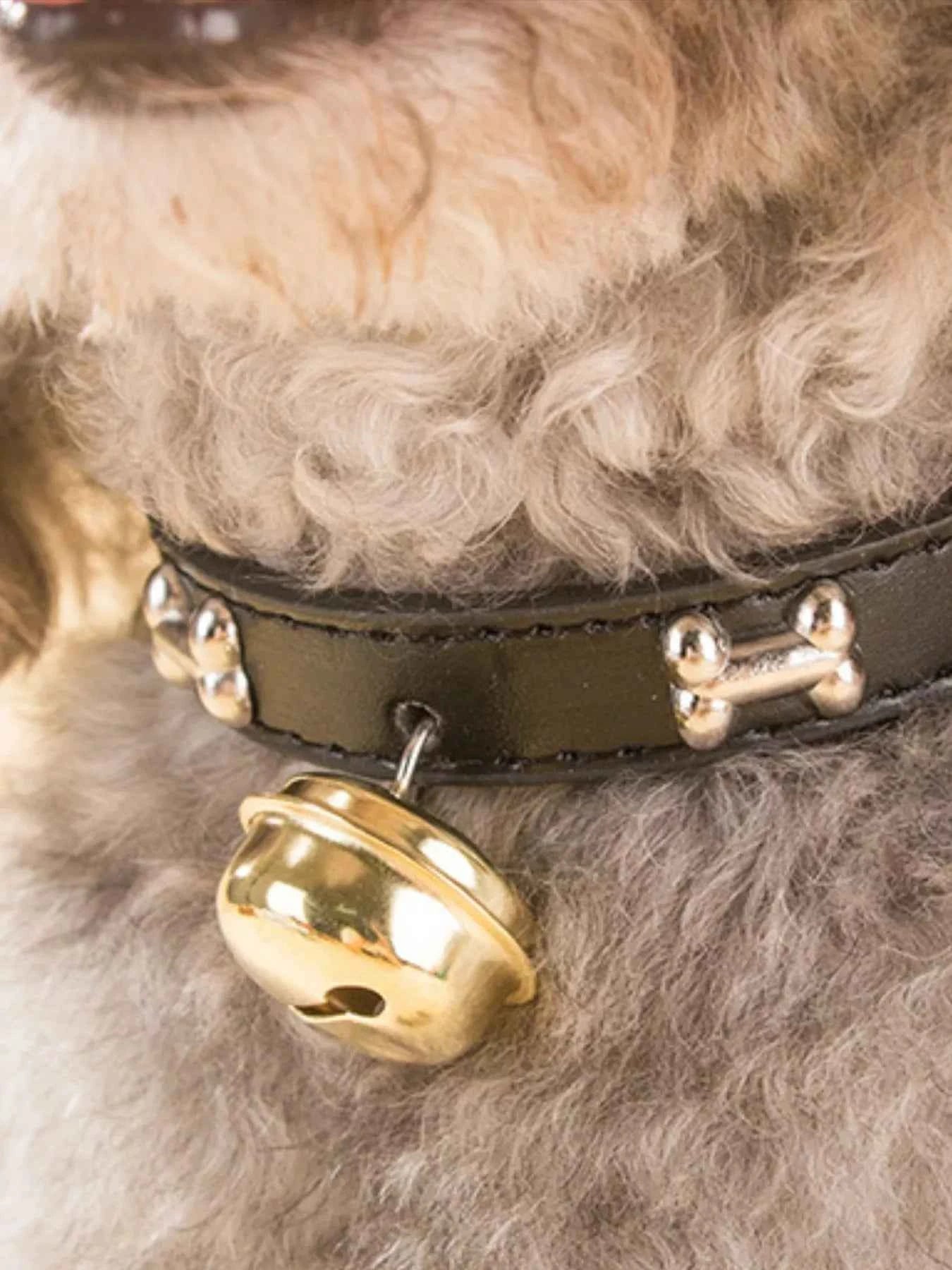 Leather Pet Collar with Bell