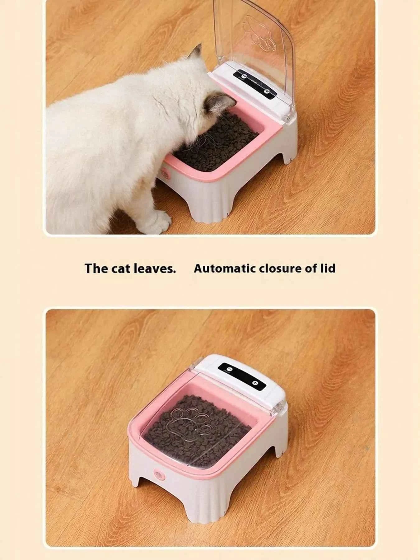 Automatic Pet Feeder with Elevated Bowl