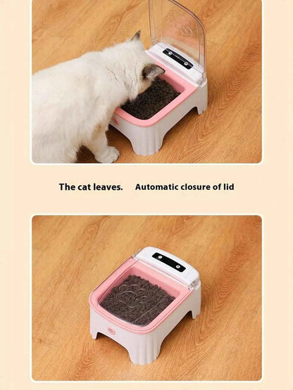 Automatic Pet Feeder with Elevated Bowl