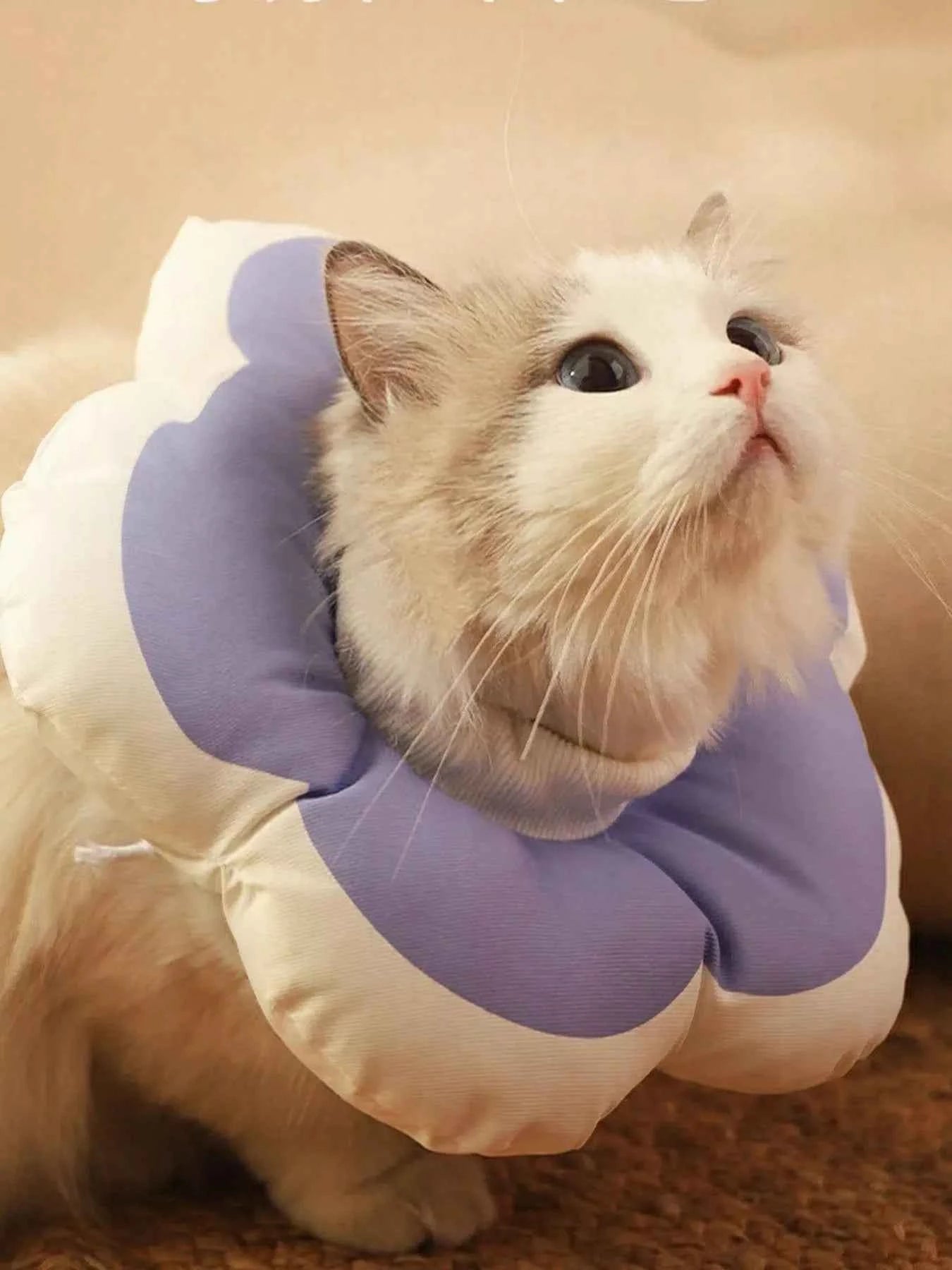 Pet Post-Op Anti-Lick Soft Flower-Shaped Elizabeth Collar