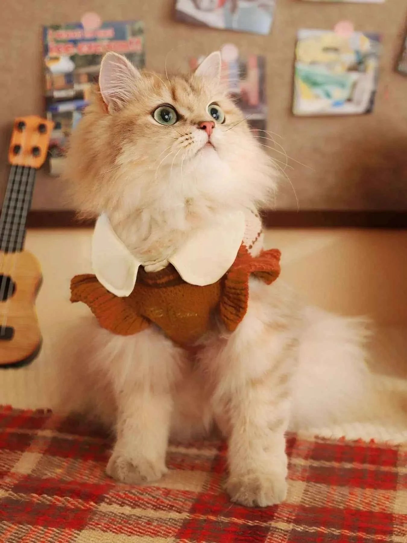 Argyle Pattern Pet Sweater