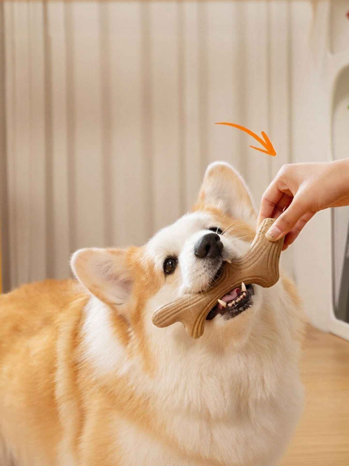 Durable Antler-Shaped Dog Chew Toy