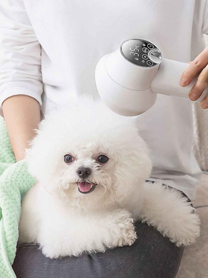 Low Noise Pet Hair Dryer & Comb