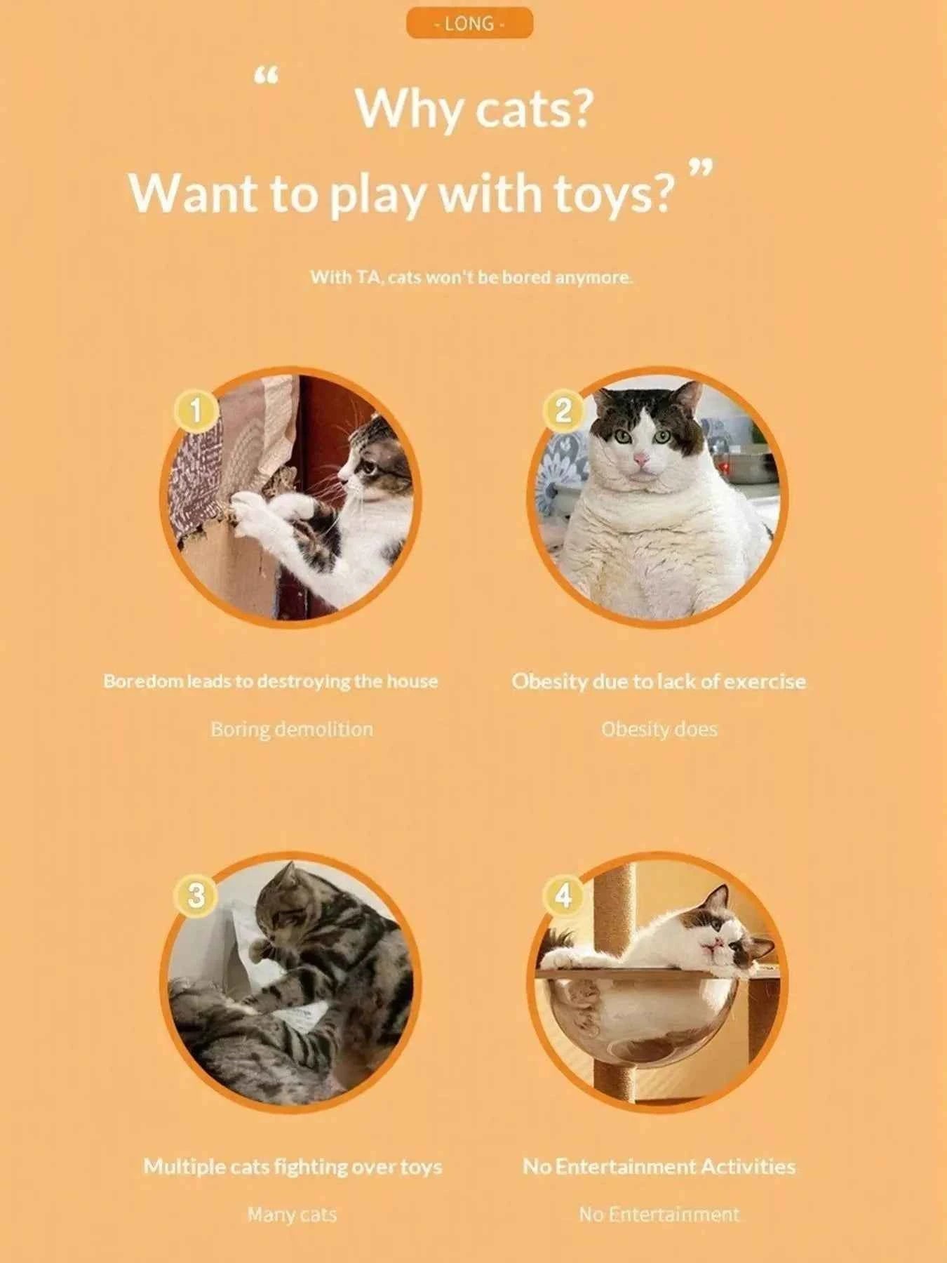 Adjustable Height Pet Feeding Station