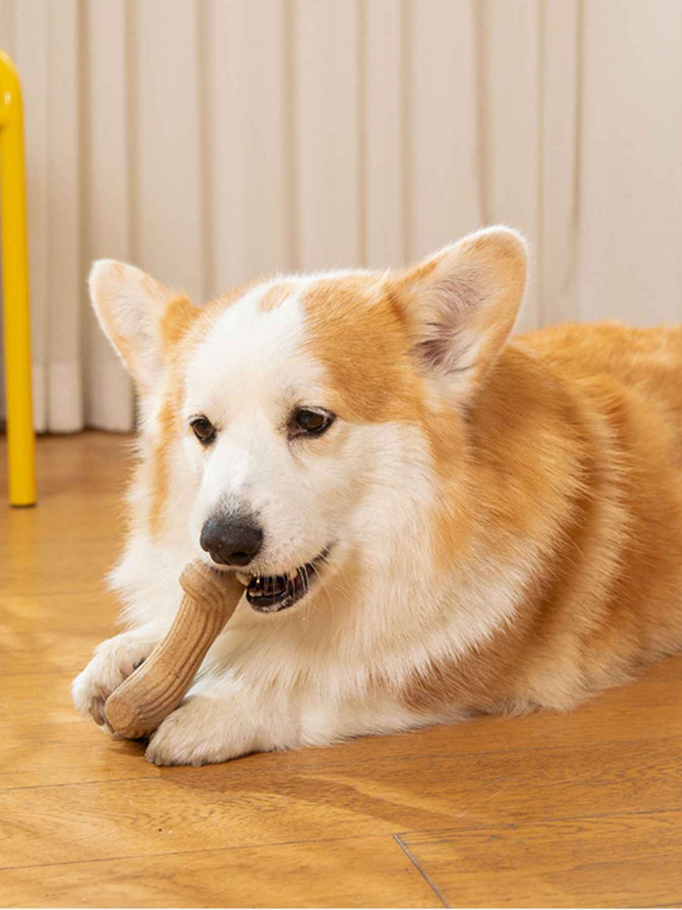 Durable Antler-Shaped Dog Chew Toy