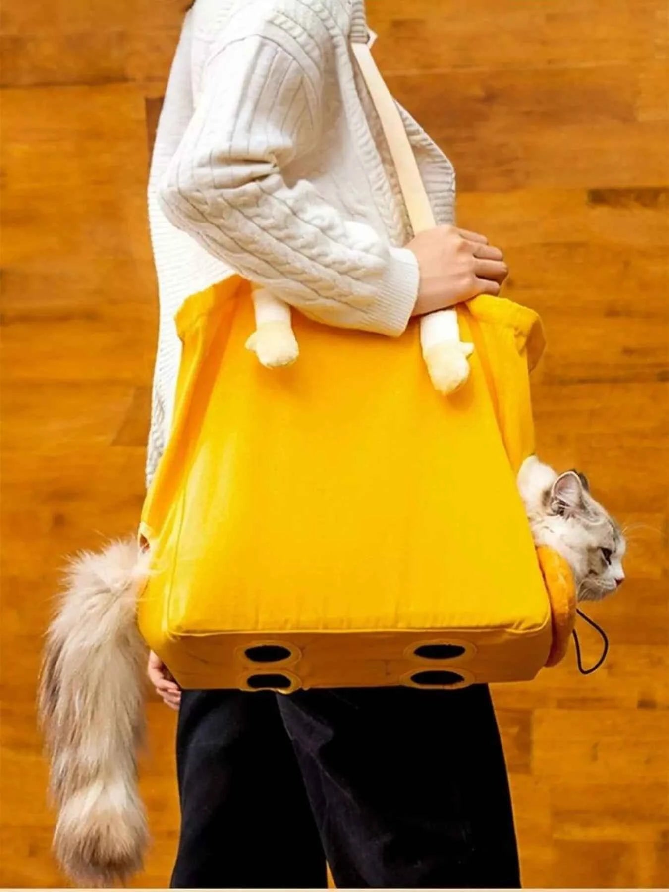 Portable Breathable Pet Bag