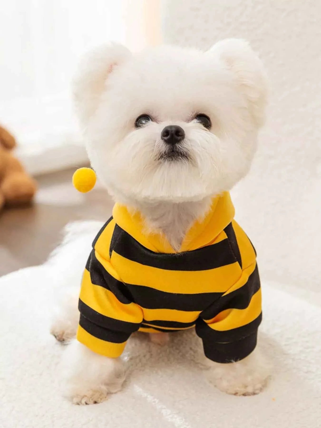 Soft Warm Pet Hoodie