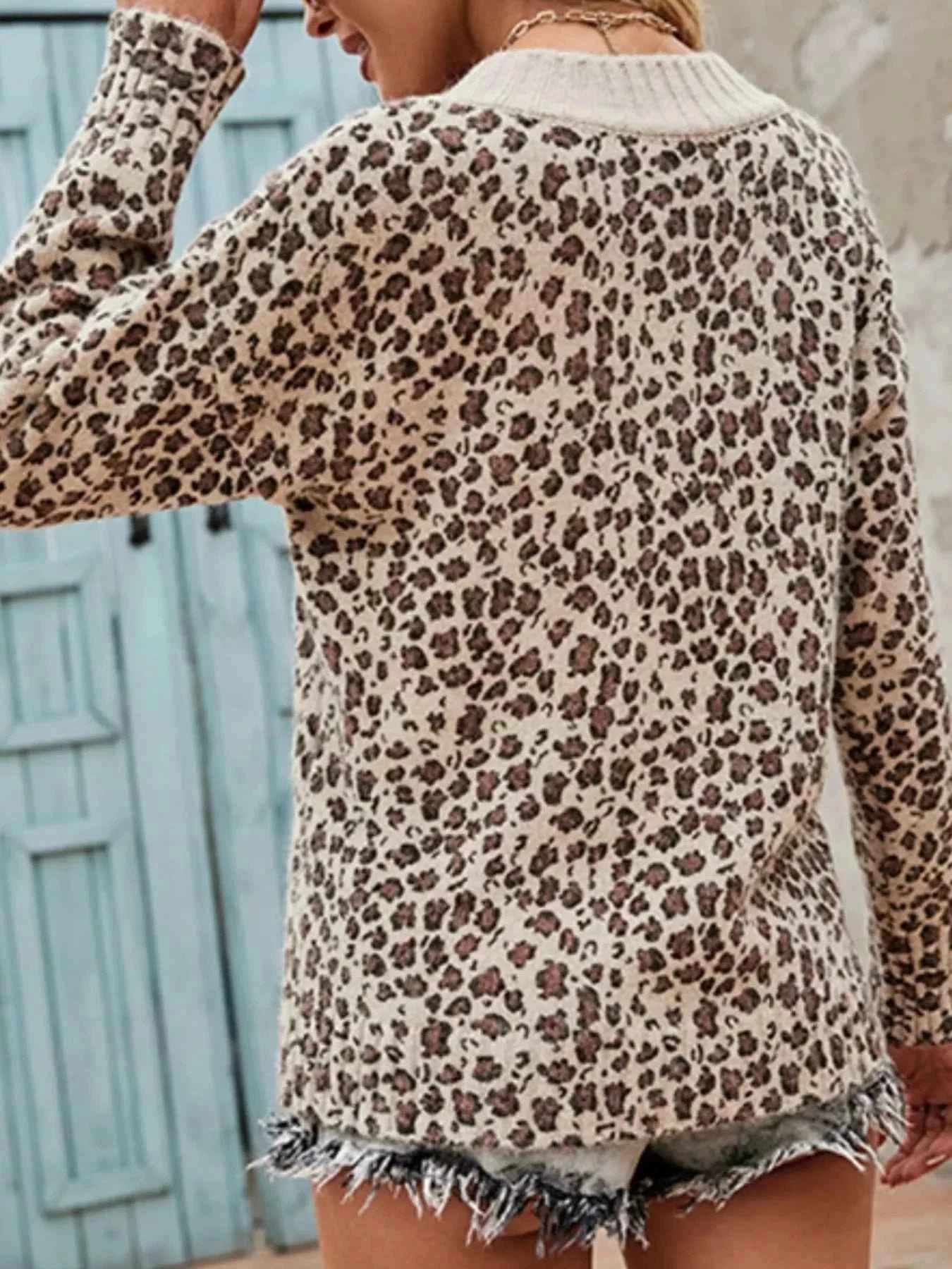 Leopard V-Neck Long Sleeve Sweater