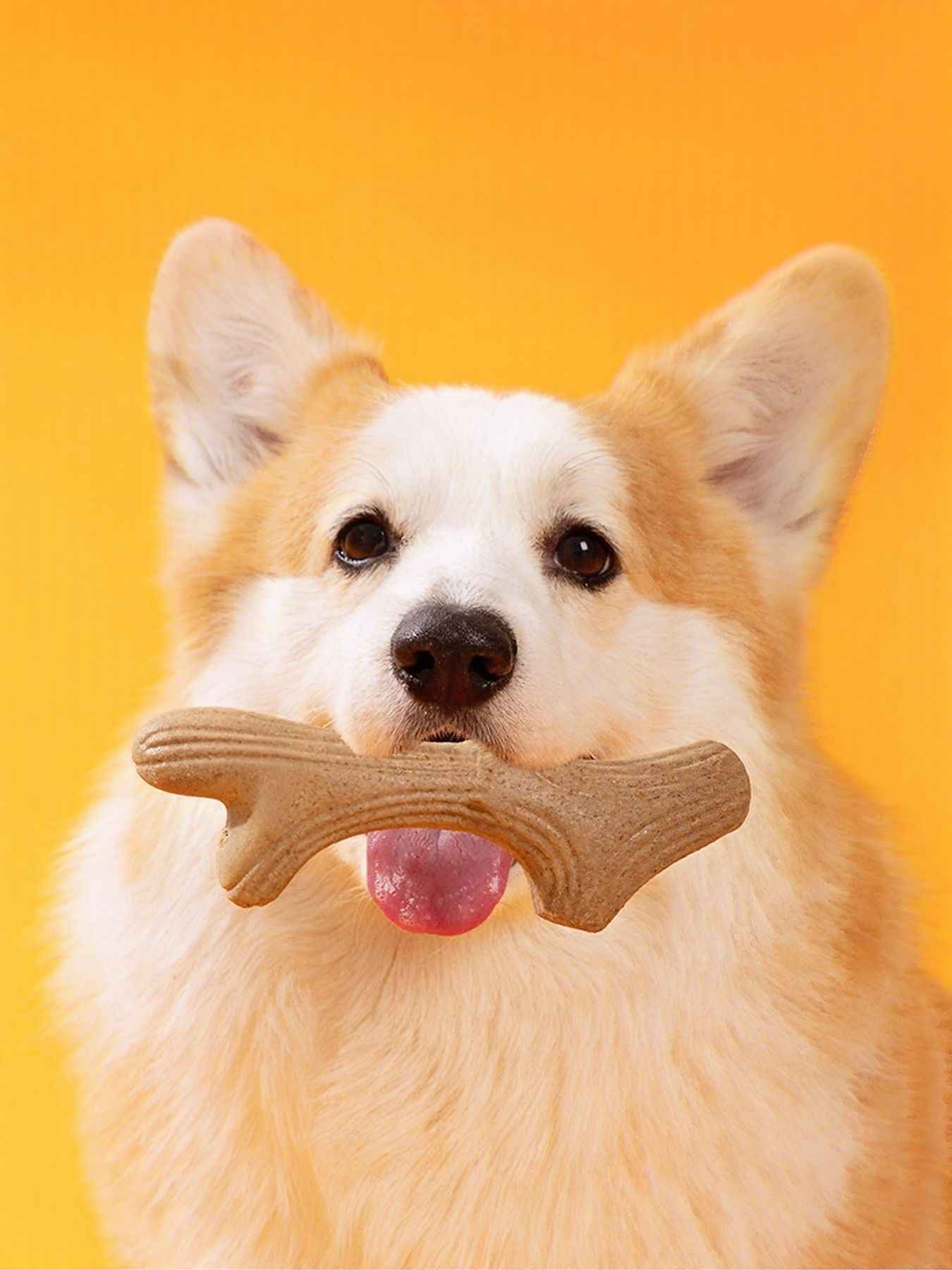 Durable Antler-Shaped Dog Chew Toy