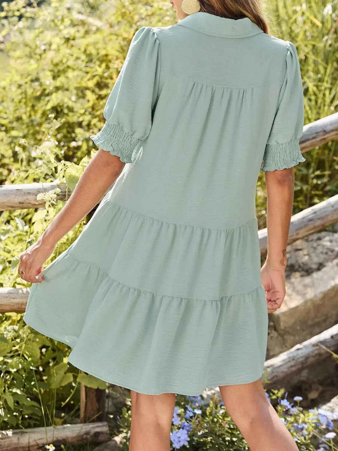 Johnny Collar Short Sleeve Mini Dress