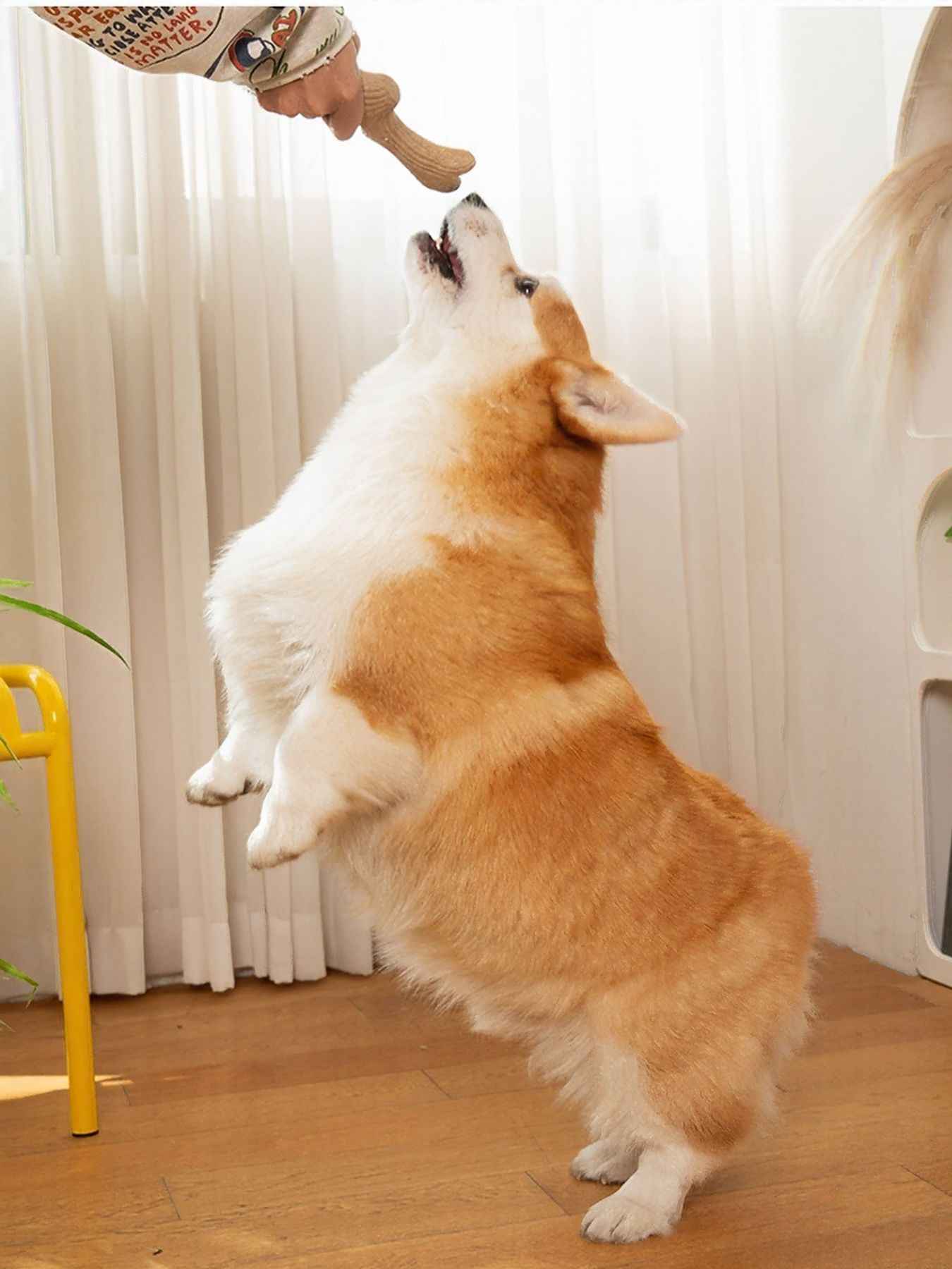 Durable Antler-Shaped Dog Chew Toy