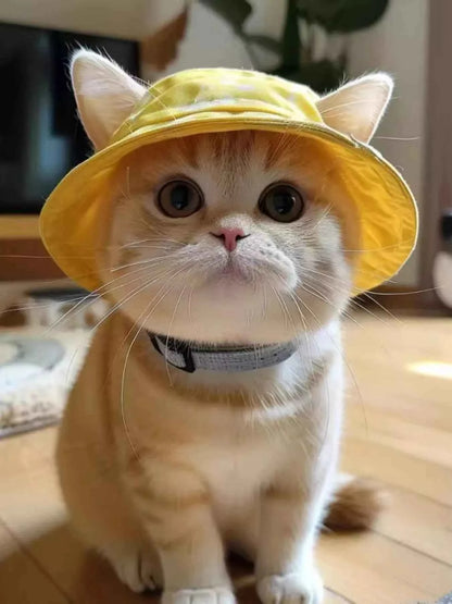 Pet Bucket Hat