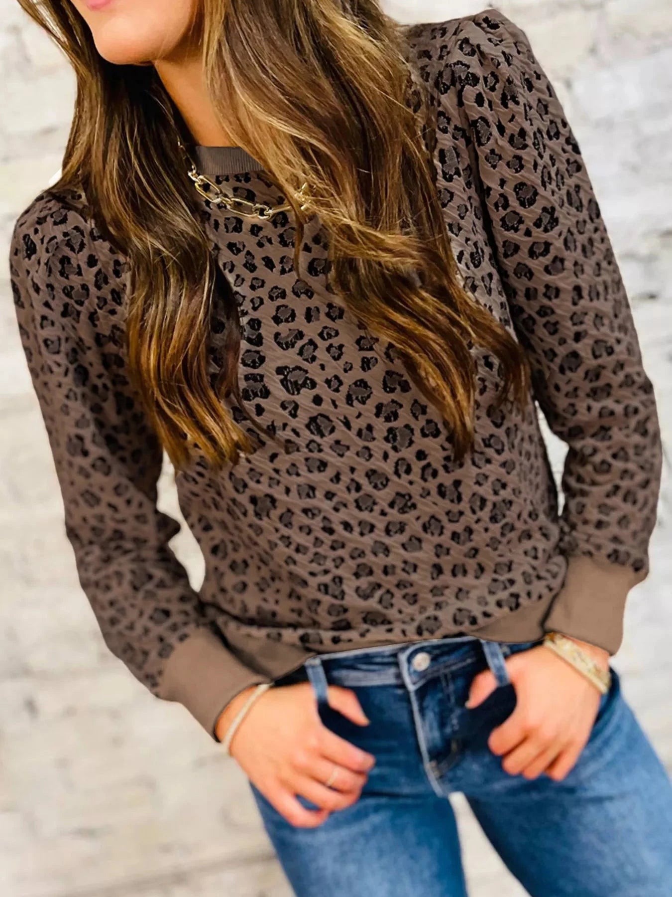Ribbed Trim Leopard Print Long Sleeve Top