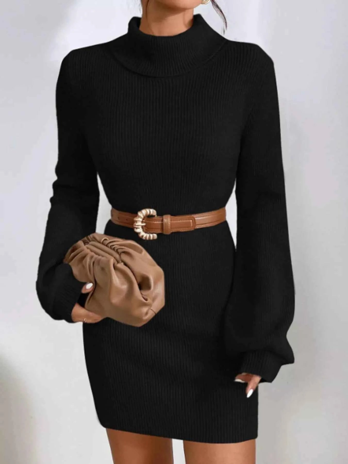 Turtleneck Ribbed Knit Sweater Dress