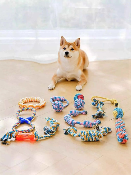 Interactive Rope Knot Pet Toys
