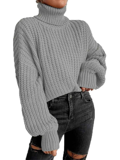 Chuny Knit Turtleneck Long Sleeve Sweater