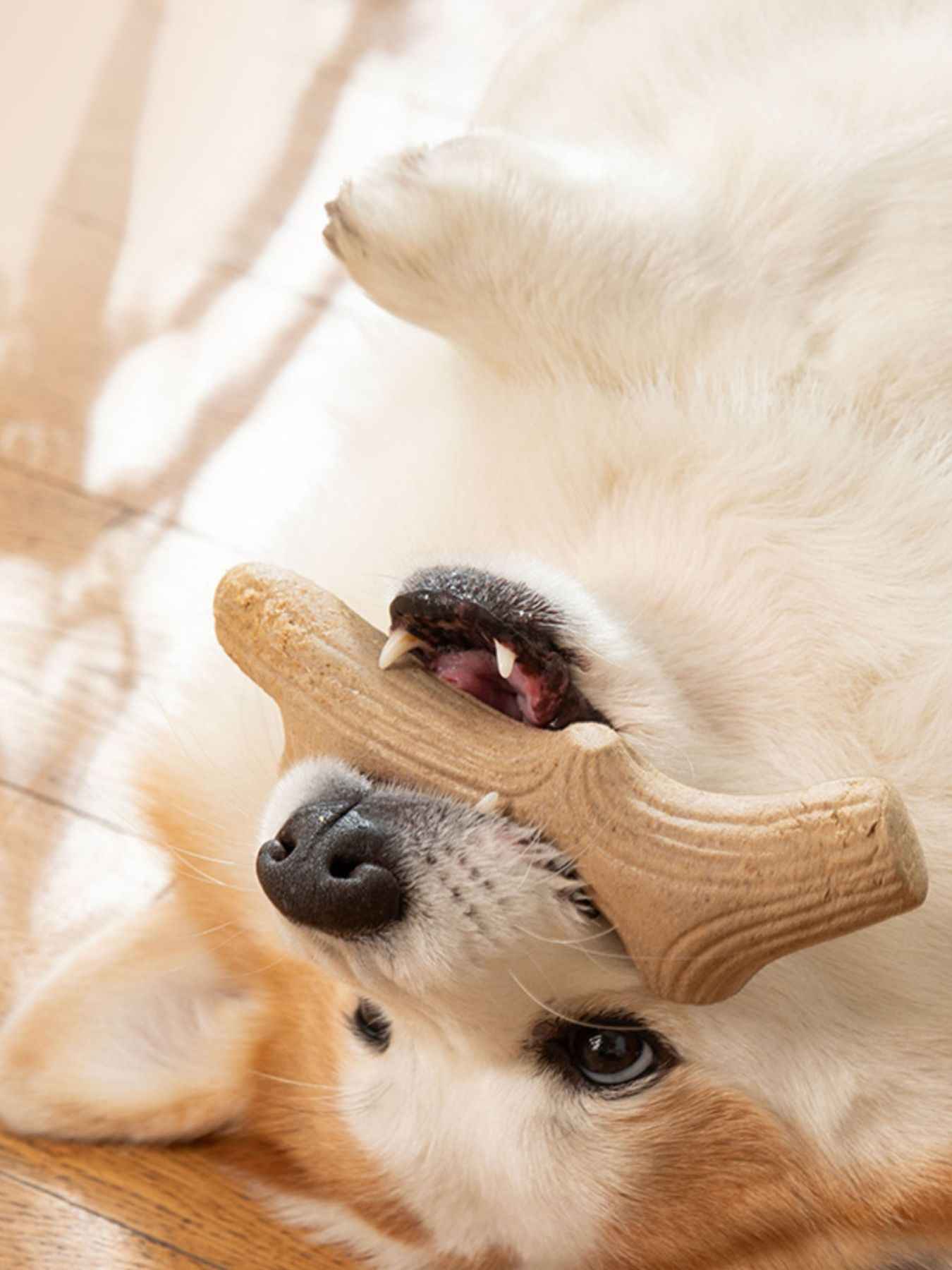 Durable Antler-Shaped Dog Chew Toy