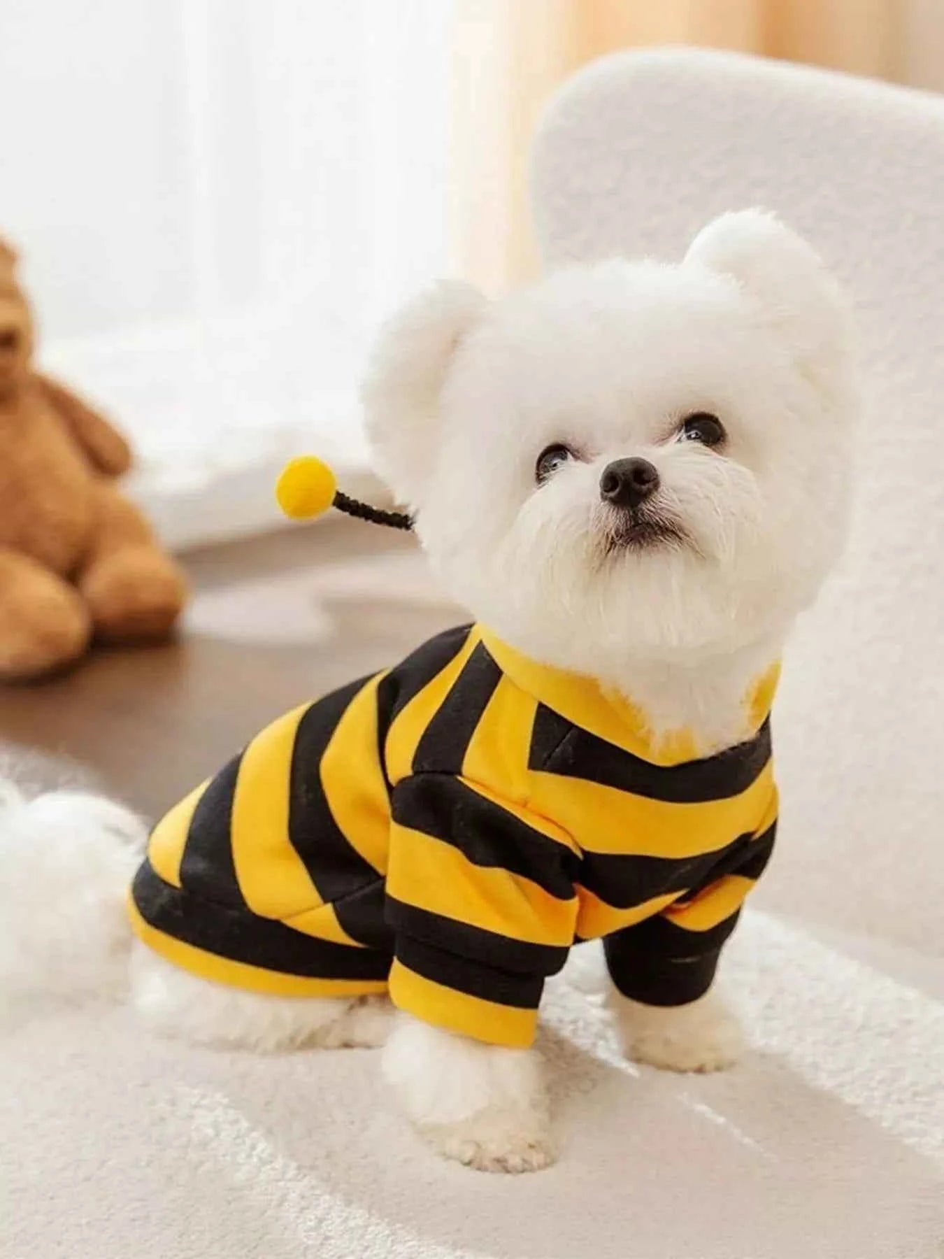 Soft Warm Pet Hoodie