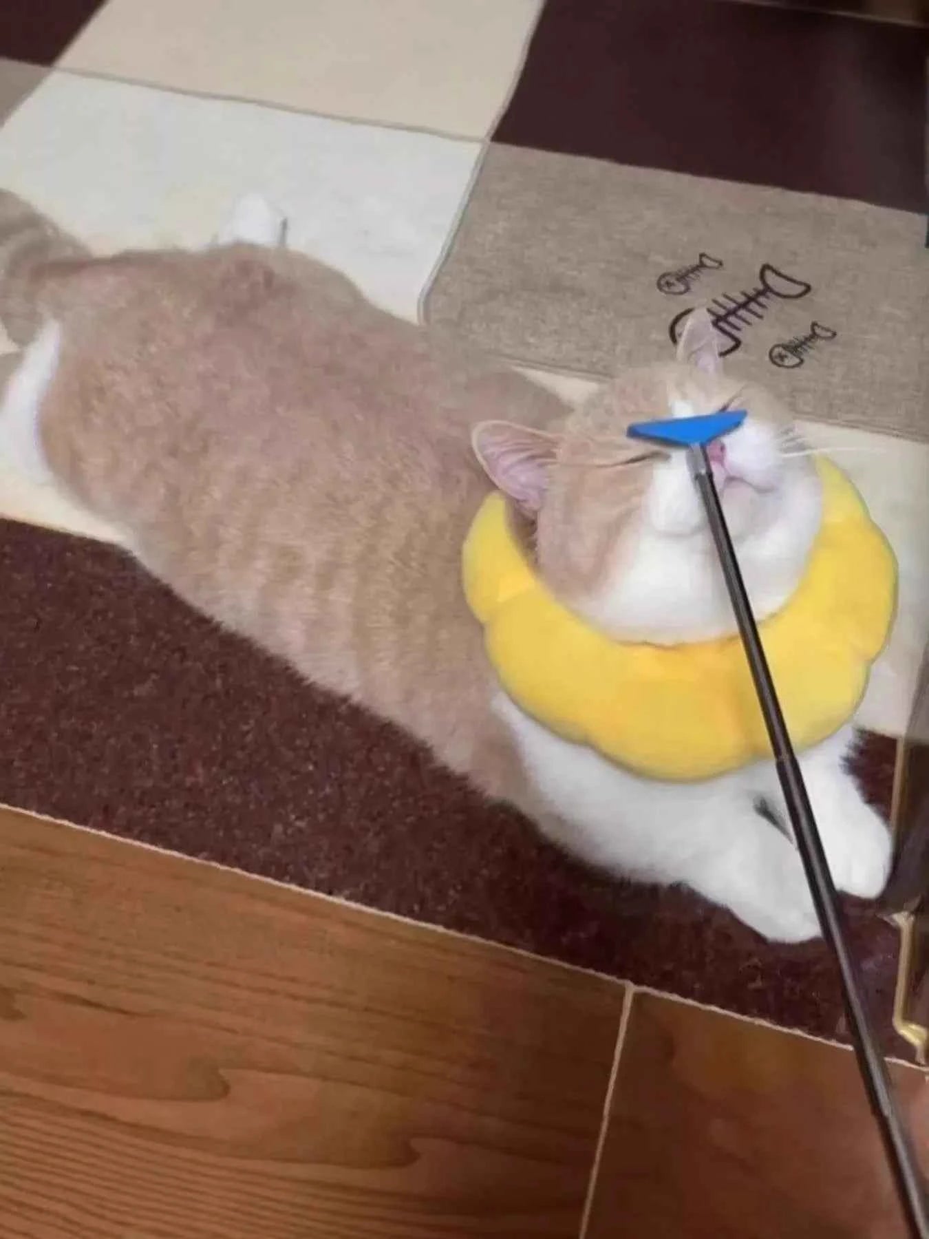 Pet Grooming Comb