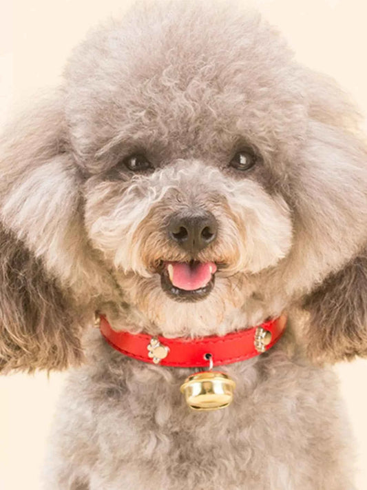 Leather Pet Collar with Bell