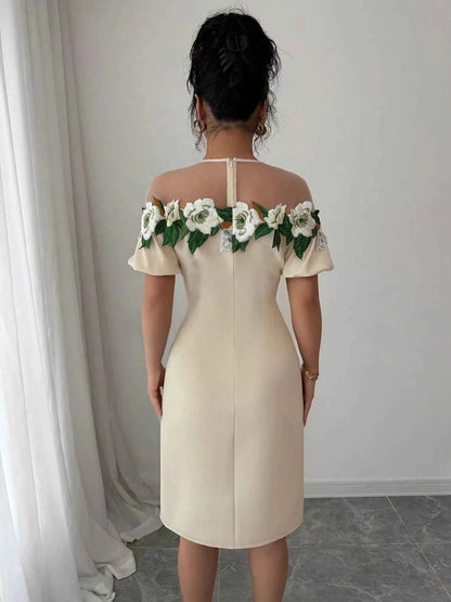 Floral Embroidered Puff Sleeve Dress with Mesh Shoulder