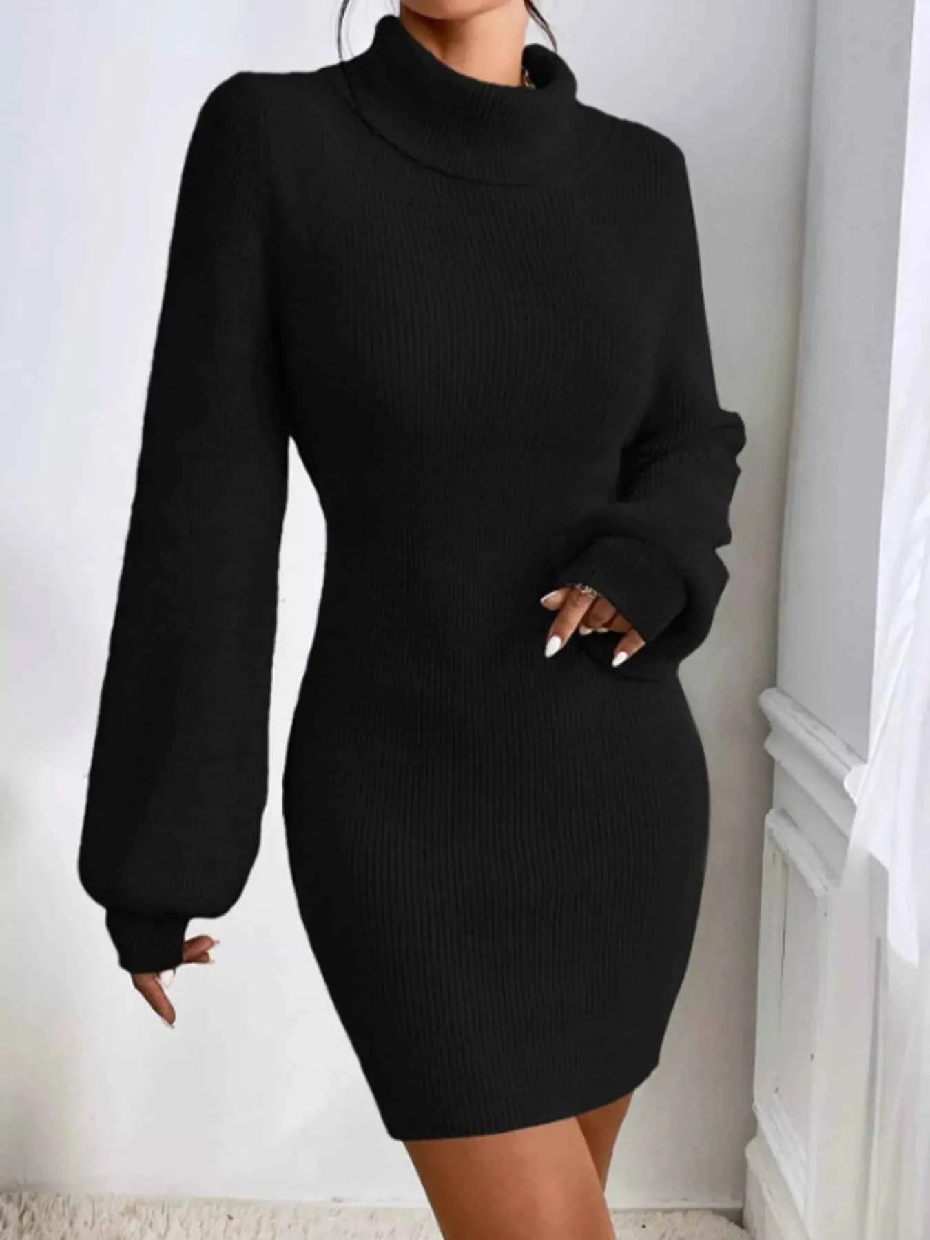 Turtleneck Ribbed Knit Sweater Dress