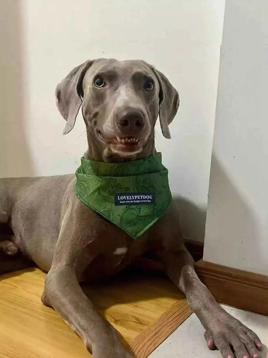 Lightweight Pet Scarf