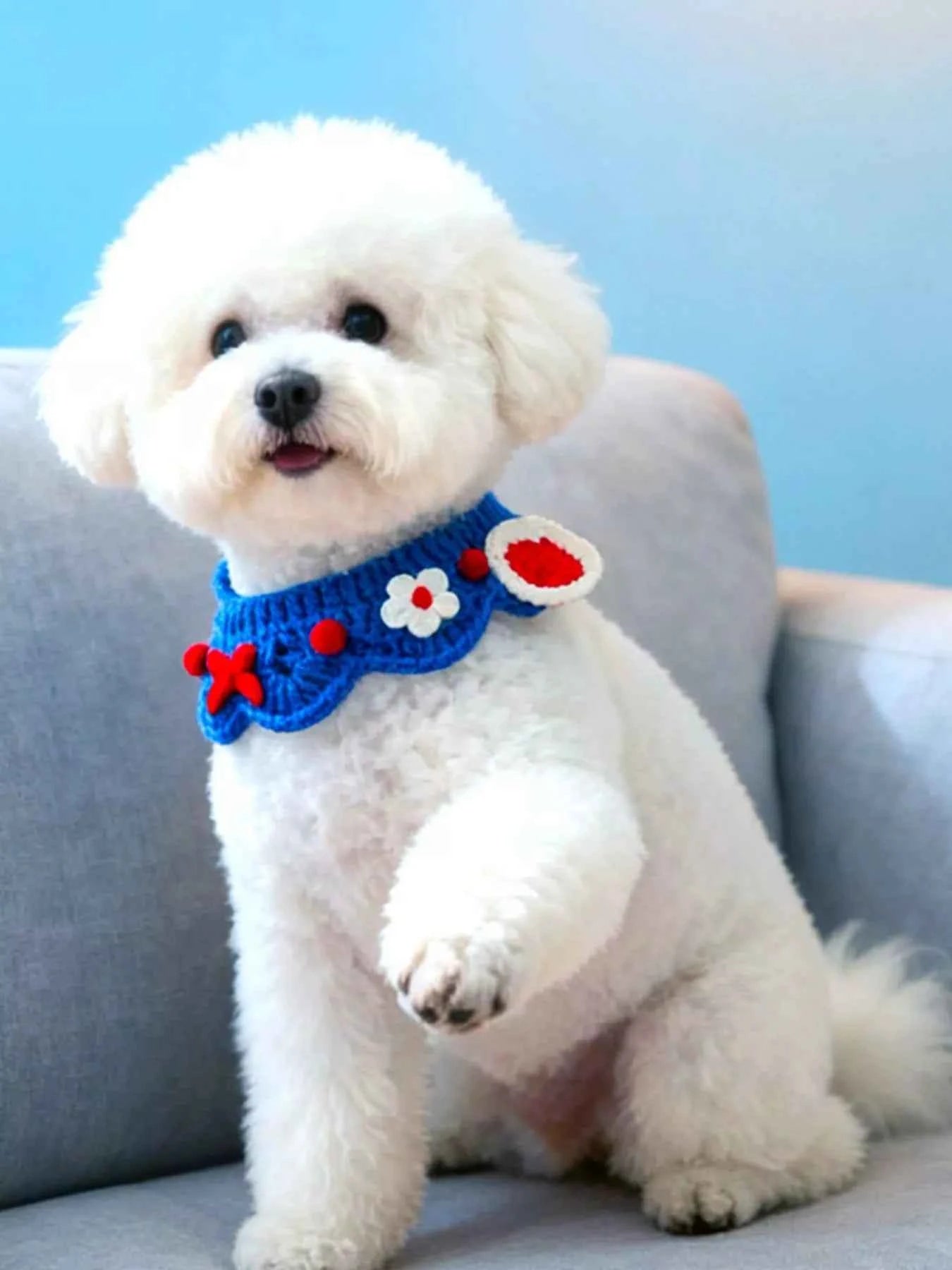 Handmade Crochet Floral Pet Scarf