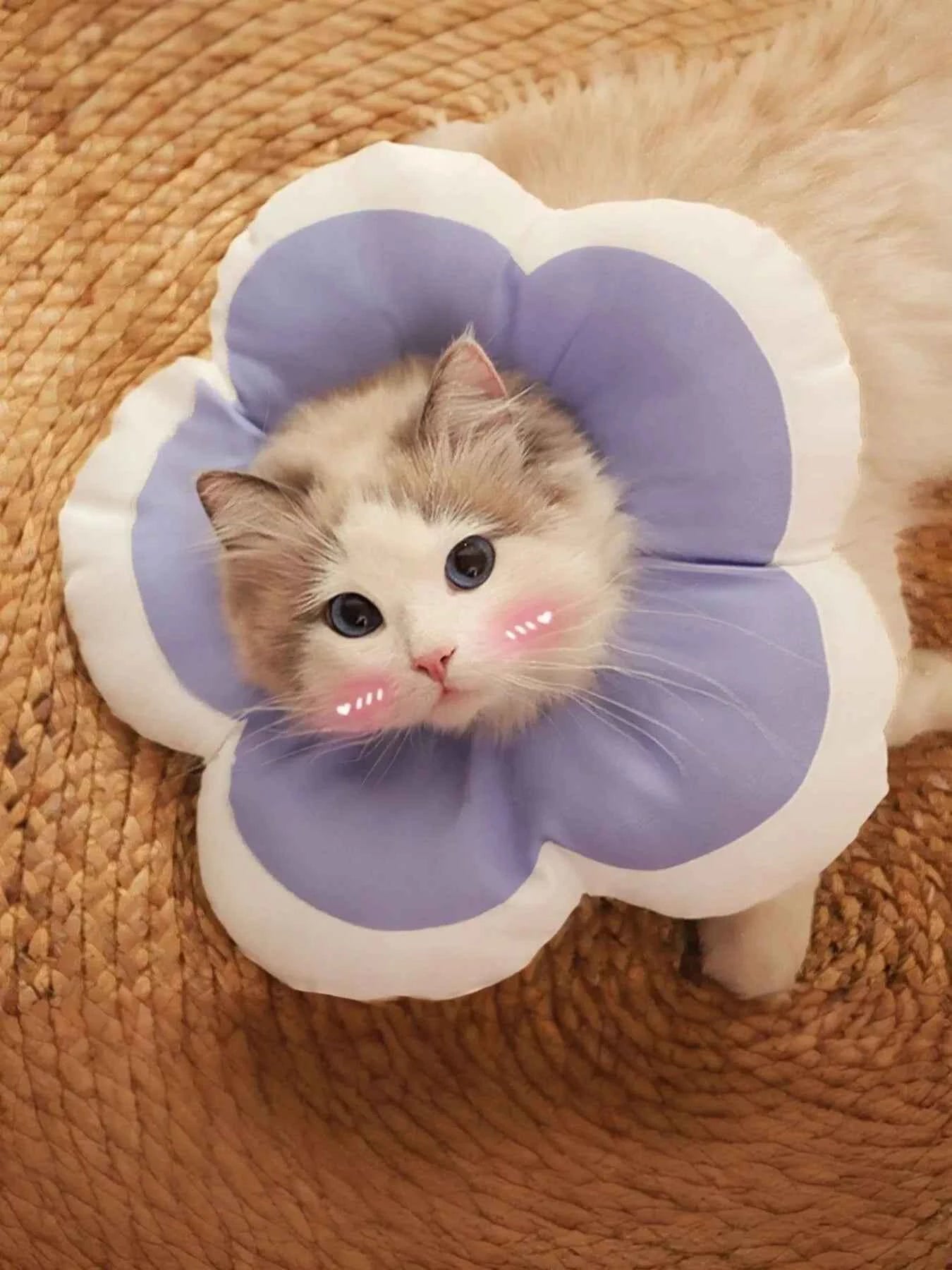 Pet Post-Op Anti-Lick Soft Flower-Shaped Elizabeth Collar