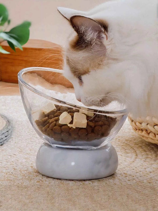 Elevated Tilted Non-Slip Clear Pet Bowl