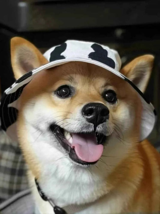 Pet Bucket Hat