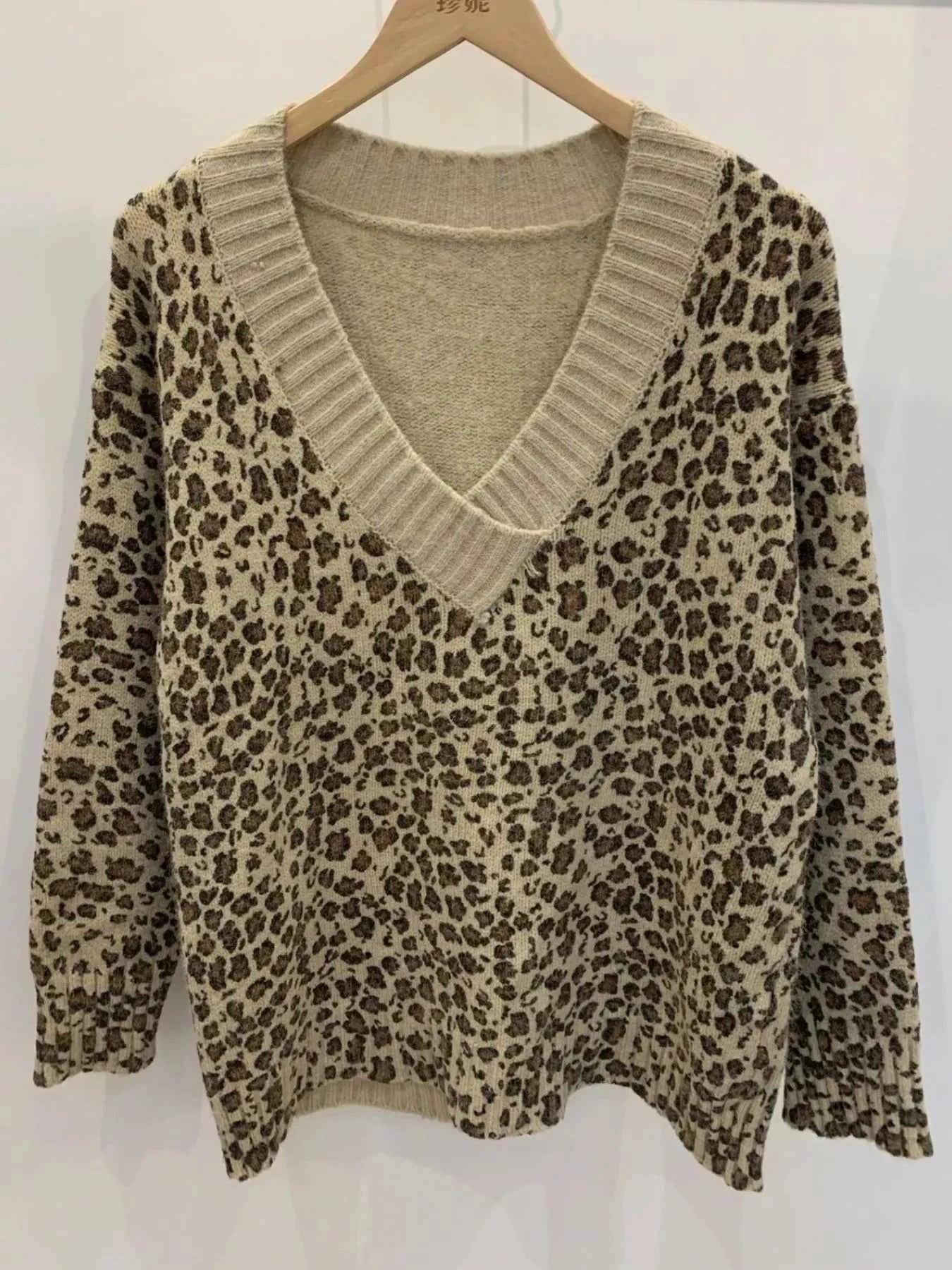 Leopard V-Neck Long Sleeve Sweater