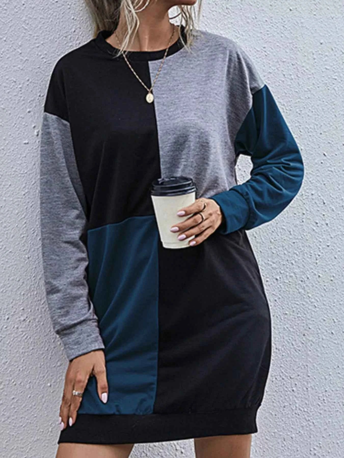 Color Block Casual Long Sleeve Mini Dress