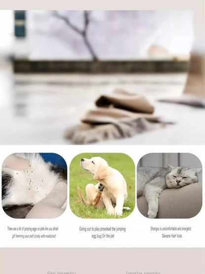 Pet Facial Detail Comb